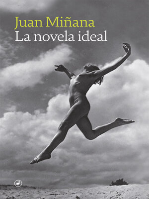 cover image of La novela ideal